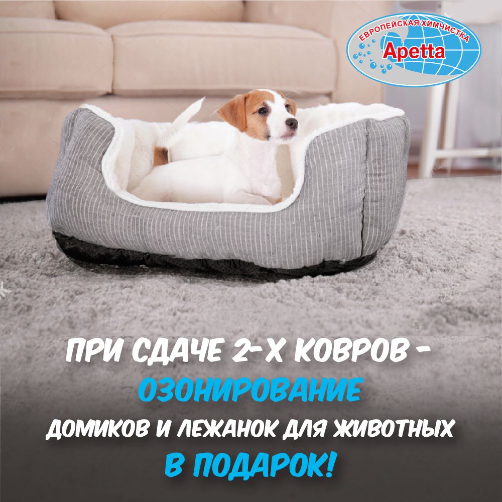 При сдаче 2 ковров — озонирование домиков для животных в подарок! При сдаче 2 ковров — озонирование домиков для животных в подарок!