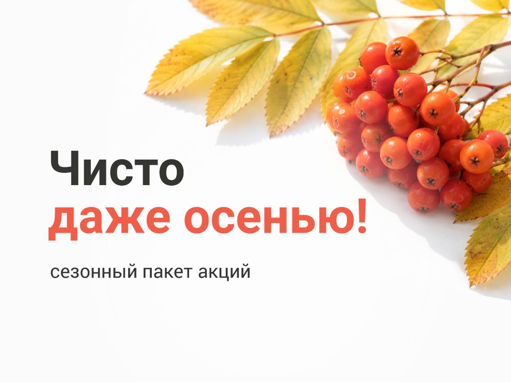 Чисто даже осенью!
