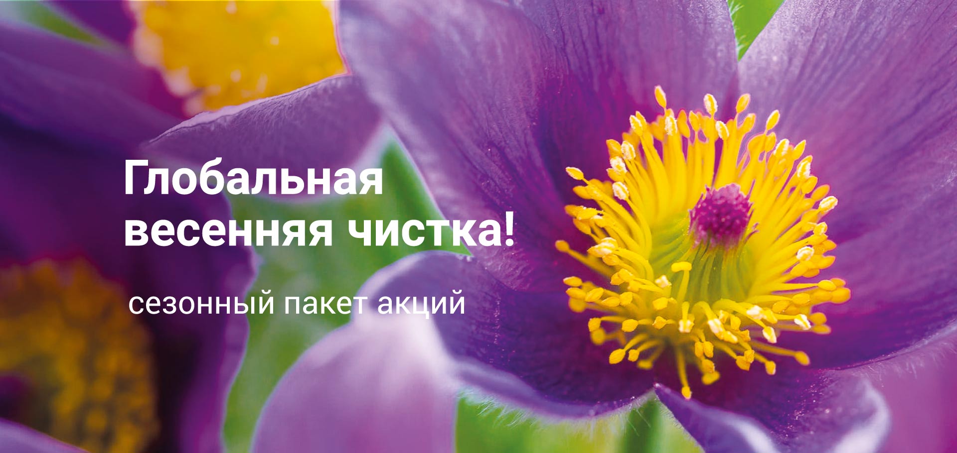 Весенние акции Весенние акции