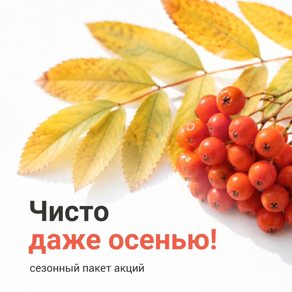 Чисто даже осенью!