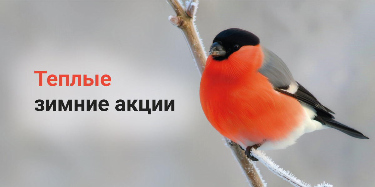 Тёплые зимние акции