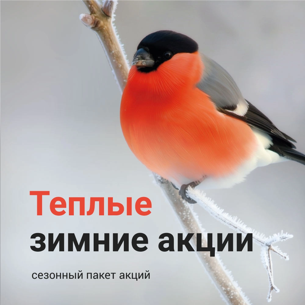Тёплые зимние акции