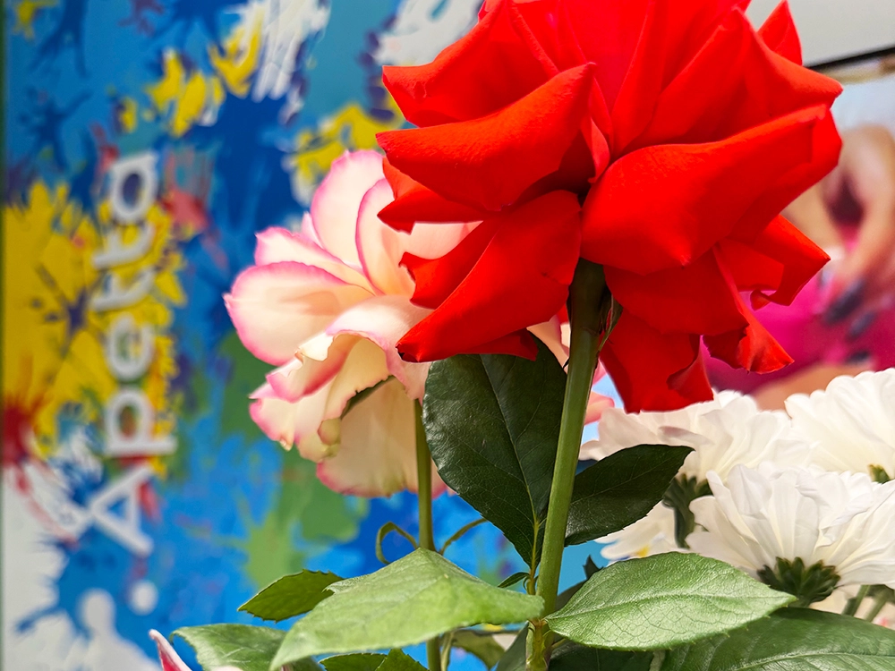 29 лет безупречной чистоты и новое открытие!